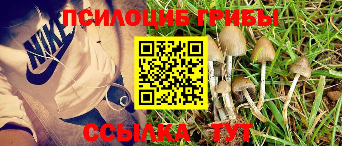 наркотики  Галлюциногенные грибы GOLDEN TEACHER  Вход с VPN  Новотроицк 